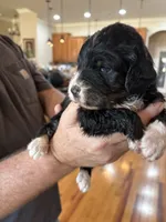 processed/38cbf672-b52c-4185-8043-30dfaa5fc9f8/listing/a80f662d-5e87-4fe8-b141-2a65a934e4cd/9f658584-fa64-41e8-a281-06470892baaf