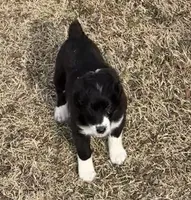 processed/38cbf672-b52c-4185-8043-30dfaa5fc9f8/listing/ceb3152a-0d01-4549-a61c-d3451c895f91/0afc1f5f-a940-44d2-94a0-de3d0f7ef8c3