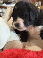 processed/38cbf672-b52c-4185-8043-30dfaa5fc9f8/listing/ceb3152a-0d01-4549-a61c-d3451c895f91/60ecd9c6-21c3-4746-89b4-68beae2a85c7