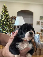 processed/38cbf672-b52c-4185-8043-30dfaa5fc9f8/listing/ceb3152a-0d01-4549-a61c-d3451c895f91/85ecc973-fd80-49d5-9b03-730df3ab5928