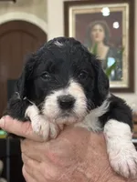 processed/38cbf672-b52c-4185-8043-30dfaa5fc9f8/listing/ceb3152a-0d01-4549-a61c-d3451c895f91/8a04396a-d46b-45a7-bb95-08784acc1eb7