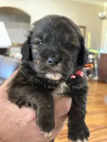 processed/38cbf672-b52c-4185-8043-30dfaa5fc9f8/listing/ec0e2180-a96b-48fa-b9b4-4089d8197bc5/764cf929-434c-4db5-9e7a-9a63c802bd7a