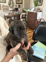 processed/38cbf672-b52c-4185-8043-30dfaa5fc9f8/listing/ec0e2180-a96b-48fa-b9b4-4089d8197bc5/793cfb54-fd7e-4e83-99fd-857985d90ce7