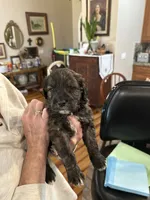 processed/38cbf672-b52c-4185-8043-30dfaa5fc9f8/listing/ec0e2180-a96b-48fa-b9b4-4089d8197bc5/f606c13b-1988-4875-9fdb-cdc80a02962f