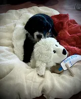 processed/38cbf672-b52c-4185-8043-30dfaa5fc9f8/listing/f46d545f-67a7-464e-bfd9-e315b6e04dd0/1c1b9128-c509-45ef-843d-8f8d66a557b9