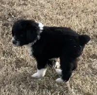 processed/38cbf672-b52c-4185-8043-30dfaa5fc9f8/listing/f46d545f-67a7-464e-bfd9-e315b6e04dd0/39e44fcd-4e55-4461-b837-5adcad69d42a