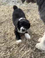 processed/38cbf672-b52c-4185-8043-30dfaa5fc9f8/listing/f46d545f-67a7-464e-bfd9-e315b6e04dd0/645aaa3e-6e06-4a94-9d0d-e21516e641b5