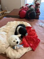 processed/38cbf672-b52c-4185-8043-30dfaa5fc9f8/listing/f46d545f-67a7-464e-bfd9-e315b6e04dd0/6dad7120-c467-4562-8084-ffb2ca7620a7