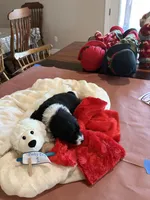 processed/38cbf672-b52c-4185-8043-30dfaa5fc9f8/listing/f46d545f-67a7-464e-bfd9-e315b6e04dd0/88403b94-e172-49a3-b257-1d4b182ea59f