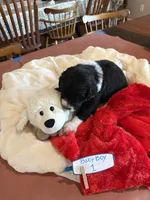 processed/38cbf672-b52c-4185-8043-30dfaa5fc9f8/listing/f46d545f-67a7-464e-bfd9-e315b6e04dd0/bafdc941-9578-4b2b-8148-2484cf4eb171