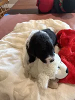 processed/38cbf672-b52c-4185-8043-30dfaa5fc9f8/listing/f46d545f-67a7-464e-bfd9-e315b6e04dd0/f1f4aeef-3064-4427-ab0a-6aed92be502d