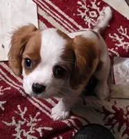 processed/38cc92e1-f584-4e15-98d4-a87a78810d79/listing/da517564-7666-41de-a7b4-fd4c7d72c5ea/220122ec-5e9b-4695-a301-001812c1c154