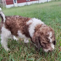 processed/38daafce-7102-41c2-abef-c124202431ee/facility/1e290902-f818-4522-a341-d477565a4c50