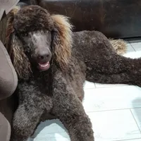 processed/38daafce-7102-41c2-abef-c124202431ee/facility/3f8f96b8-7530-4b11-b3a8-4ace569a8e25