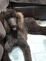 processed/38daafce-7102-41c2-abef-c124202431ee/facility/3f8f96b8-7530-4b11-b3a8-4ace569a8e25