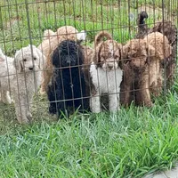 processed/38daafce-7102-41c2-abef-c124202431ee/facility/82f89da9-0970-418b-969f-472bdd5313a7