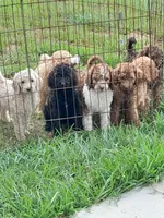 processed/38daafce-7102-41c2-abef-c124202431ee/facility/82f89da9-0970-418b-969f-472bdd5313a7