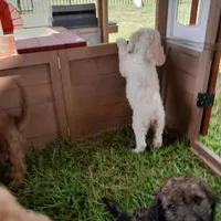 processed/38daafce-7102-41c2-abef-c124202431ee/facility/a163cfa0-f233-40ec-a69b-0267ebb3c686