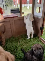 processed/38daafce-7102-41c2-abef-c124202431ee/facility/a163cfa0-f233-40ec-a69b-0267ebb3c686