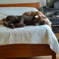 processed/38daafce-7102-41c2-abef-c124202431ee/facility/c06e4c27-4d58-4312-a521-12d3df18ecca