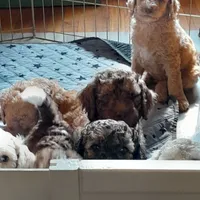 processed/38daafce-7102-41c2-abef-c124202431ee/facility/f2de9a9b-0c1a-41ff-b802-a2a2ed5cb95e