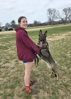 Pet or Sport, a female German Shepherd Dog for sale in Newalla, OK – 6 of 8