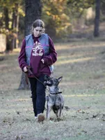 AKC Titled parents Sable girl 2, a female German Shepherd Dog for sale in Newalla, OK – 3 of 9