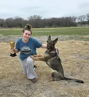 AKC Titled parents Sable Plush coat, a male German Shepherd Dog for sale in Newalla, OK – 7 of 9