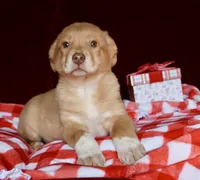 processed/38edbc95-ab6c-4ff9-8e38-8b6867070ec6/listing/339fa257-a6d9-4336-8d77-33191a4ff75e/0dc9f66d-922c-4210-9cbe-2489c3948d3b