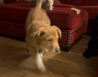 processed/38edbc95-ab6c-4ff9-8e38-8b6867070ec6/listing/339fa257-a6d9-4336-8d77-33191a4ff75e/346c4610-9995-44b1-b709-d305715f49a0