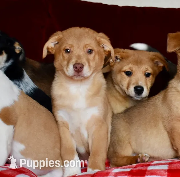 processed/38edbc95-ab6c-4ff9-8e38-8b6867070ec6/listing/339fa257-a6d9-4336-8d77-33191a4ff75e/5a01706c-2f98-443c-b860-099780fad3b8