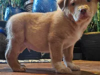 processed/38edbc95-ab6c-4ff9-8e38-8b6867070ec6/listing/339fa257-a6d9-4336-8d77-33191a4ff75e/90a6345a-023b-4b5d-baee-4eae60314242