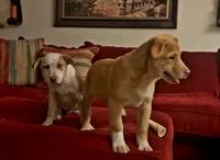 processed/38edbc95-ab6c-4ff9-8e38-8b6867070ec6/listing/339fa257-a6d9-4336-8d77-33191a4ff75e/93b0be07-df60-4327-b175-15228a17d8dd