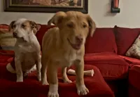 processed/38edbc95-ab6c-4ff9-8e38-8b6867070ec6/listing/339fa257-a6d9-4336-8d77-33191a4ff75e/96395ff1-40f0-4695-b5f4-9f7a3c0d19ba