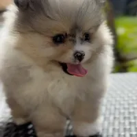 processed/38ee1390-6e54-4556-9e9b-ed653afe08b8/facility/2e1dc03a-696c-4d14-b842-11a2ed54cb8f