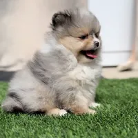 processed/38ee1390-6e54-4556-9e9b-ed653afe08b8/facility/518f72ea-f625-4636-a934-c31de5884040