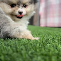 processed/38ee1390-6e54-4556-9e9b-ed653afe08b8/facility/550a8fc4-bfe5-4ea9-abcd-4ae7e80ae954