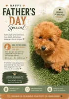 Red bichpoo, a female Poodle - Miniature  for sale in San Diego, CA – 2 of 9