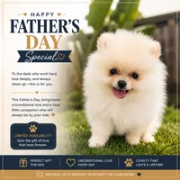 Baby Queen  FLASH SALE!! $2,000 NOW FROM $2,500, a female Pomeranian for sale in San Diego, CA – 1 of 10