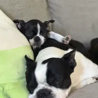 processed/38f5d94b-0a21-47e3-abe2-3a64f362fa37/facility/9b9a6505-aff1-47a9-80d9-25068b353aa9