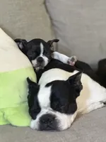 processed/38f5d94b-0a21-47e3-abe2-3a64f362fa37/facility/9b9a6505-aff1-47a9-80d9-25068b353aa9