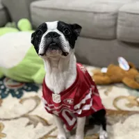 processed/38f5d94b-0a21-47e3-abe2-3a64f362fa37/facility/b66967c7-e504-4199-91df-5a478238b268