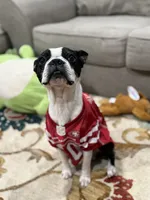 processed/38f5d94b-0a21-47e3-abe2-3a64f362fa37/facility/b66967c7-e504-4199-91df-5a478238b268