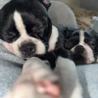 processed/38f5d94b-0a21-47e3-abe2-3a64f362fa37/facility/b9626482-6a14-4e13-8a25-fe56a1376c63