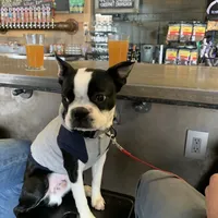 processed/38f5d94b-0a21-47e3-abe2-3a64f362fa37/facility/bb0a653c-6a58-433e-b1ca-38bad39d53f5