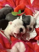 processed/38f5d94b-0a21-47e3-abe2-3a64f362fa37/listing/b8227125-06b8-4bd8-9ccf-e92b4afc1046/5cfc972b-0f6b-4daa-a231-acae985cbbbd