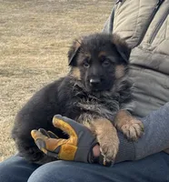 processed/38fdc538-ca4c-44d1-80a5-38ae04a2afe1/listing/e4994fe2-dfeb-4f2b-bf46-7038c9669618/317f91cd-dfee-4288-8f4d-6408e7d8f6f2