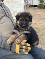 processed/38fdc538-ca4c-44d1-80a5-38ae04a2afe1/listing/e4994fe2-dfeb-4f2b-bf46-7038c9669618/3d2c2da2-66b5-4f32-9f6b-cf017fabcac2