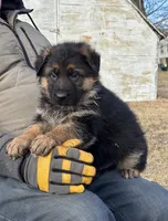 processed/38fdc538-ca4c-44d1-80a5-38ae04a2afe1/listing/e4994fe2-dfeb-4f2b-bf46-7038c9669618/5741c6fc-0592-40f7-9a3c-0d063cffc3e0