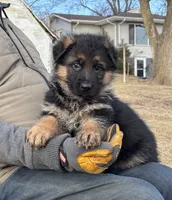 processed/38fdc538-ca4c-44d1-80a5-38ae04a2afe1/listing/e4994fe2-dfeb-4f2b-bf46-7038c9669618/b283b9eb-85d4-494c-a941-b129a56a2308